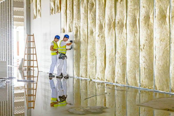 Best Commercial Insulation in Brewster, OH